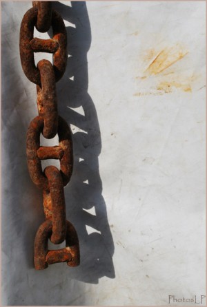 Abolition-PhotosLP Fallot.jpg