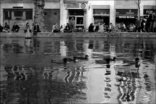 paris,canal st martin,photo