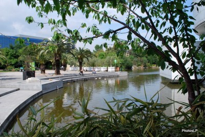 Musée des Arts Asiatiques-PhotosLP Fallot.JPG