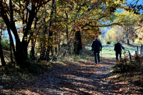 Automne en Haute Provence-PhotosLP Fallot -Série 2 .jpg