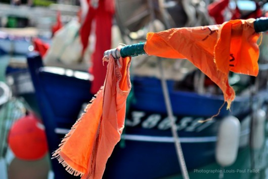 pause,été,photos d'été