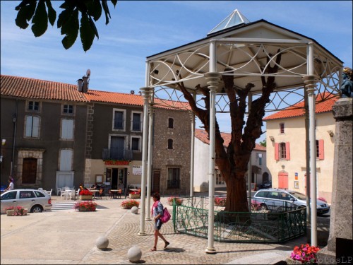 carnet de voyage été 2012,le caylar,arbre,michel chevray,sculpture