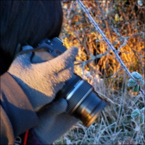 Col de Vence le 1er janvier 2011-PhotosLP Fallot (4).jpg