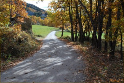 Quand la route devient chemin-PhotosLP Fallot-2010 (2).jpg