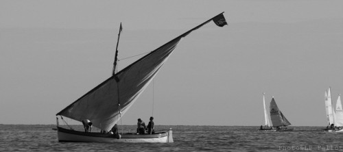 Catalina en baie de Cagnes-PhotosLP Fallot.jpg