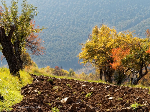 automne,annot,un blog revisité,méailles,entrevaux