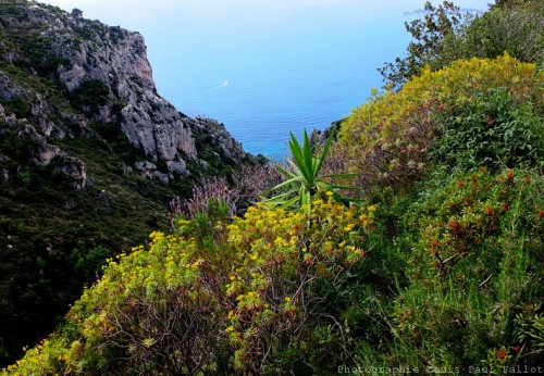 Le chemin de Nietzsche à Eze - PhotosLP Fallot    (6).jpg