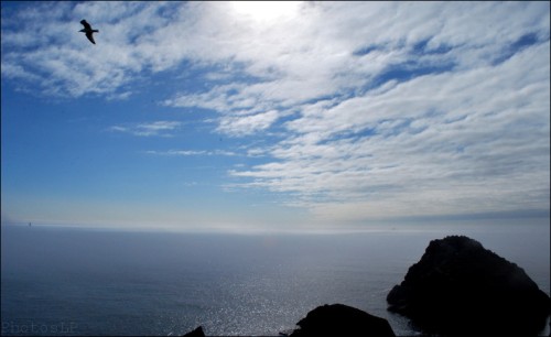 Pointe du Van-Finistère-juillet 2010-PhotosLP Fallot (3).jpg