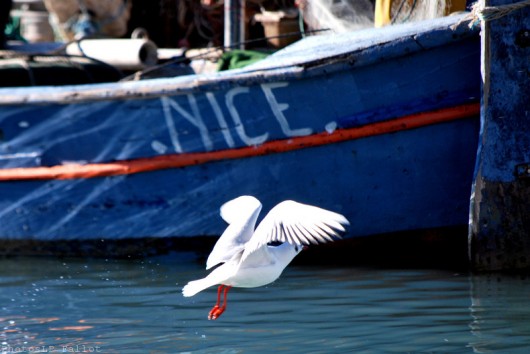 Cros de Cagnes- hors saison-PhotosLP Fallot (9).jpg