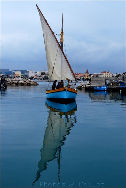 voile latine,aventure pluriel,semaine du golfe,photo,cros de cagnes