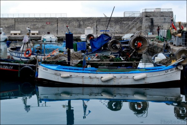 voile latine,aventure pluriel,semaine du golfe,photo,cros de cagnes