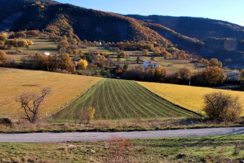 Automne en Haute Provence-PhotosLP Fallot -Série 2  (11).jpg