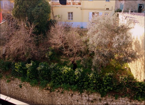 Balcon le 13 février-PhotosLP.jpg