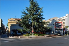 Centre ville de Cagnes vu du square Bourdet-PhotosLP Fallot.jpg