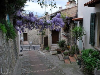 Haut de Cagnes-Avril 2010-PhotosLP FALLOT (10).jpg