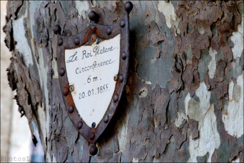 St Guilhem le désert-PhotosLP Fallot-2011 (4).jpg