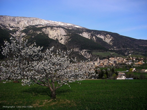 Méailles_book _PhotosLP Fallot.JPG