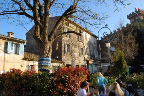 Arbres-Tricot-Haut de Cagnes-Avril 2011-PhotosLP Fallot (10).jpg