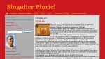 Blog- singulier pluriel.JPG