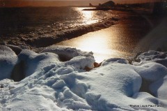 Cagnes et la neige en 1985--Photos Louis-Paul FALLOT (19).jpg