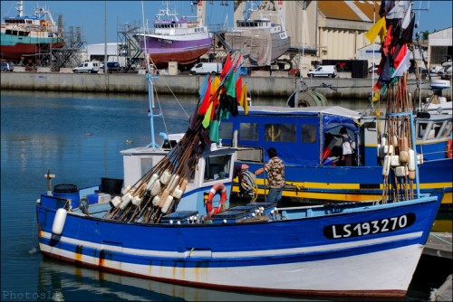 Bateau pêche port des Sables d'Olonne.jpg