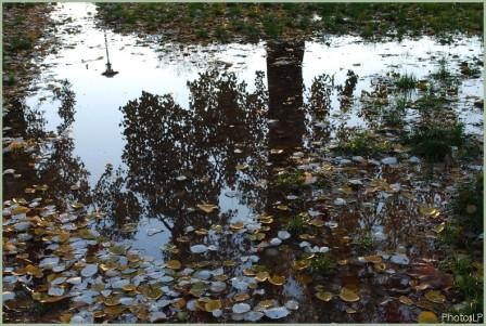 Après la pluie-PhotosLP-2008-R.jpg