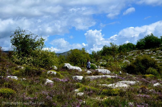 Arrière pays-PhotosLP Fallot (21).JPG