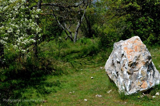 Arrière pays-PhotosLP Fallot (23).JPG