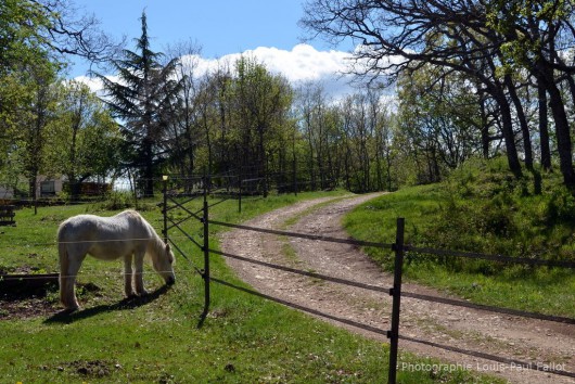 parc régional des pré-alpes