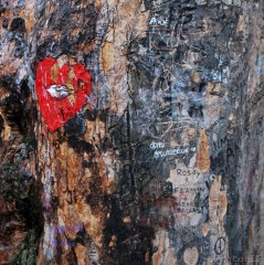 Arbre Morrisson-Père LaChaise-PhotosLP Fallot.jpg