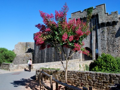 Clisson-En Bretagne-Juillet 2010-PhotosLP Fallot (2).JPG