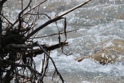 Eau en Provence-PhotosLP Fallot-2010.jpg