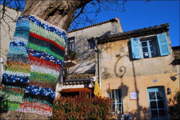 Arbres-Tricot-Haut de Cagnes-Avril 2011-PhotosLP Fallot (11).jpg