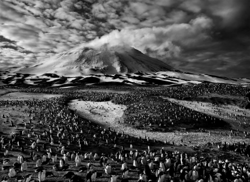 Îles Sandwich, 2009 © Sebastião Salgado.jpg