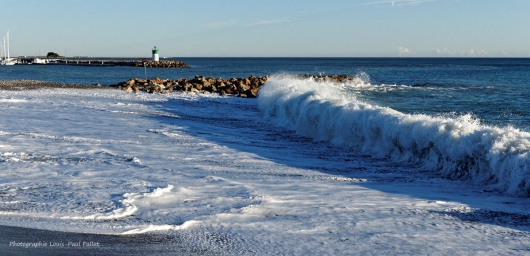 La mer en hiver-PhotosLP Fallot (2).jpg