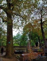 cimetière,père lachaise,photographie,défifoto,automne 2011