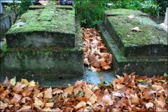 cimetière,père lachaise,photographie,défifoto,automne 2011