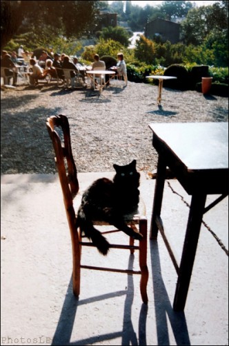 Le CALME à Cabris-PhotosLP Fallot.jpg