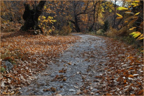 Quand la route devient chemin-PhotosLP Fallot-2010 (7).jpg