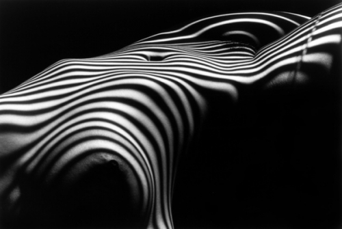 Nu zebre-2007 de Lucien Clergue.jpg