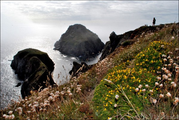 Pointe du Van-Finistère-juillet 2010-PhotosLP Fallot (5).jpg