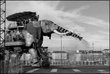 Eléphant-Les Machines à Nantes-PhotosLP.jpg