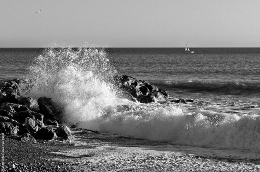 La mer en hiver-PhotosLP Fallot (1).jpg