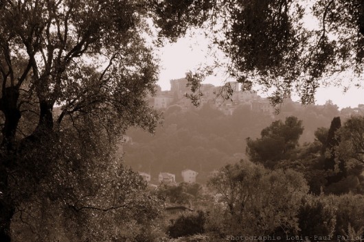 Musée Renoir aux Collettes à Cagnes-PhotosLP Fallot (2).jpg