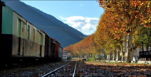 Automne en Haute Provence-PhotosLP Fallot -Série 2  (2).jpg