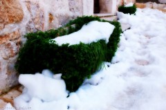 météo,neige,bouyon,dicton,côte d'azur