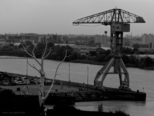 photo,défifoto,oeuvre d'art,nantes,loire,anneaux,arbre,lunar tree,grues titans,estuaire,blog