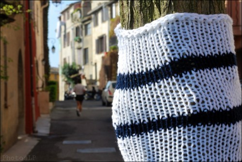 Arbres-Tricot-Haut de Cagnes-Avril 2011-PhotosLP Fallot (4).jpg