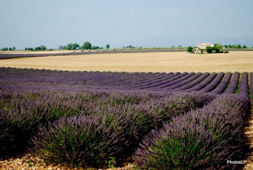 Valensol Photo Louis-Paul Fallot.JPG