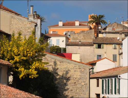 Balcon  le 25 février-PhotosLP.jpg